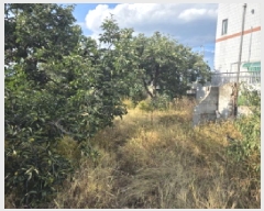  2025Ÿ��928  �������