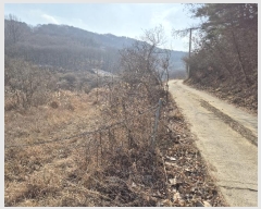  2025Ÿ��5100 ��� ĥ� ����� ���긮 792      ����(��)���