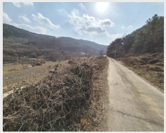  2025Ÿ��5100 ��� ĥ� ����� ���긮 792      ����(��)���