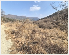  2025Ÿ��5100 ��� ĥ� ����� ���긮 792      ����(��)���