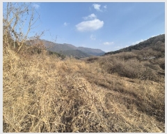  2025Ÿ��5100 ��� ĥ� ����� ���긮 792      ����(��)���