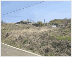  2025Ÿ7624  õ Ͼȸ 踮 382      ()