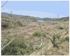  2025Ÿ7624  õ Ͼȸ 踮 382      ()