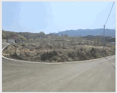  2025Ÿ7624  õ Ͼȸ 踮 382      ()