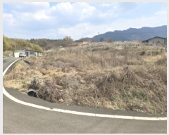  2025Ÿ7624  õ Ͼȸ 踮 382      ()