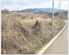  2025Ÿ7624  õ Ͼȸ 踮 382      ()