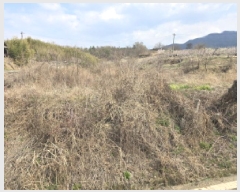  2025Ÿ7624  õ Ͼȸ 踮 382      ()