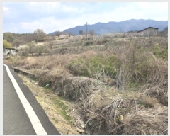  2025Ÿ7624  õ Ͼȸ 踮 382      ()