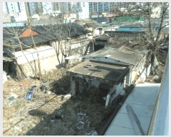  2025Ÿ7636 뱸   1067-85       ()