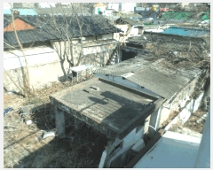  2025Ÿ7636 뱸   1067-85       ()