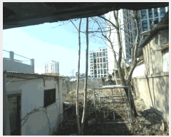  2025Ÿ7636 뱸   1067-85       ()