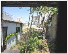  2025Ÿ7636 뱸   1067-85       ()