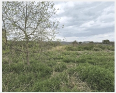  2025Ÿ��7734 ��� ��õ�� ����� â�� 174-5      ����(������)���