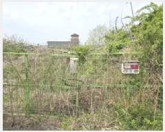  2025Ÿ��7734 ��� ��õ�� ����� â�� 174-5      ����(������)���