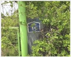  2025Ÿ��7734 ��� ��õ�� ����� â�� 174-5      ����(������)���