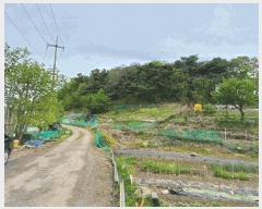  2025Ÿ��7745 �뱸 �ϱ� ������ ��13       ����(�Ӿ�)���