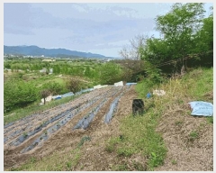  2025Ÿ��7745 �뱸 �ϱ� ������ ��13       ����(�Ӿ�)���