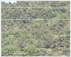  2025Ÿ��7866 ��� ��õ�� ȭ���� �װ ��105-1      ����(�Ӿ�)���