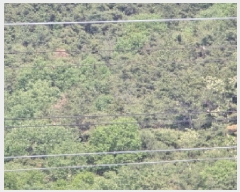  2025Ÿ��7866 ��� ��õ�� ȭ���� �װ ��105-1      ����(�Ӿ�)���