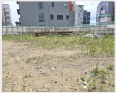  2025Ÿ��7921  �������