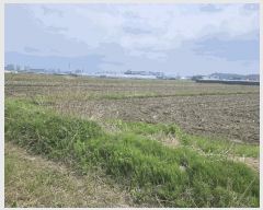  2025Ÿ��7943  ����