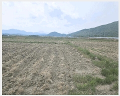  2025Ÿ��7943  ����