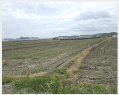  2025Ÿ��7943  ����