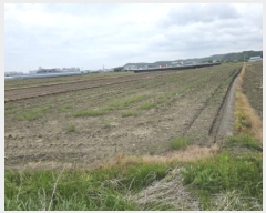  2025Ÿ��7943  ����