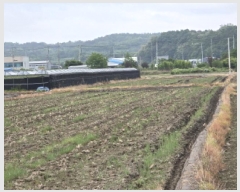  2025Ÿ��7943  ����