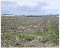  2025Ÿ��7943  ����