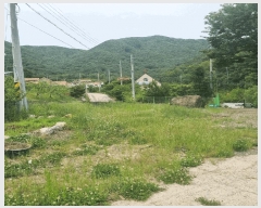  2025Ÿ��8085  �����