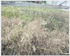  2025Ÿ��8085  �����