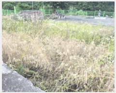  2025Ÿ��8085  �����