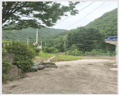  2025Ÿ��8085  �����