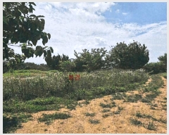  2025Ÿ��8222 �뱸 ���� ���̵� 1102-2 ����Ÿ�� 102�� 3��303ȣ    ����Ʈ���