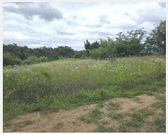  2025Ÿ��8222 �뱸 ���� ���̵� 1102-2 ����Ÿ�� 102�� 3��303ȣ    ����Ʈ���