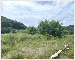  2025Ÿ��8551 ��� ��õ�� û��� ������ 120-6      ����(��)���