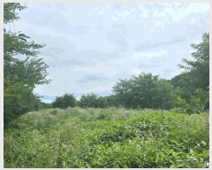  2025Ÿ��8551 ��� ��õ�� û��� ������ 120-6      ����(��)���