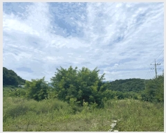  2025Ÿ��8551 ��� ��õ�� û��� ������ 120-6      ����(��)���