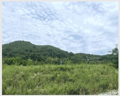  2025Ÿ��8551 ��� ��õ�� û��� ������ 120-6      ����(��)���