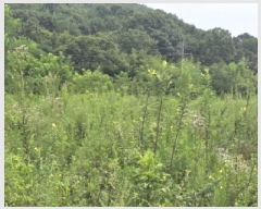  2025Ÿ��8551 ��� ��õ�� û��� ������ 120-6      ����(��)���