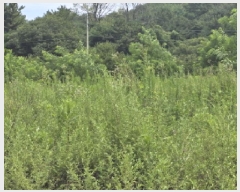  2025Ÿ��8551 ��� ��õ�� û��� ������ 120-6      ����(��)���