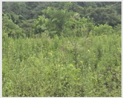  2025Ÿ��8551 ��� ��õ�� û��� ������ 120-6      ����(��)���