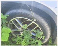  2025Ÿ8601 뱸 ϱ ȣ 416       