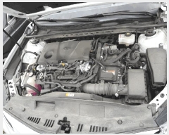  2025Ÿ��8834  �������