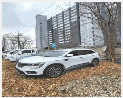  2025Ÿ��9325  �������