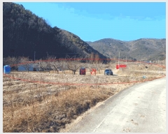  2025Ÿ��297 ��� û���� �̼��� ���̸� 234      ����(��)���