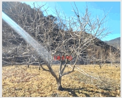  2025Ÿ��297 ��� û���� �̼��� ���̸� 234      ����(��)���