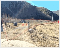  2025Ÿ��297 ��� û���� �̼��� ���̸� 234      ����(��)���