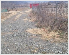  2025Ÿ��297 ��� û���� �̼��� ���̸� 234      ����(��)���